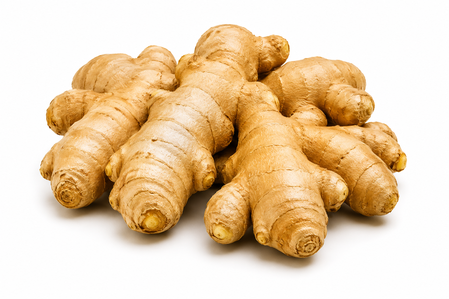 Ginger